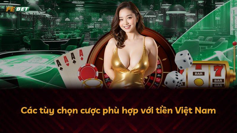 Các tùy chọn cược phù hợp với tiền Việt Nam